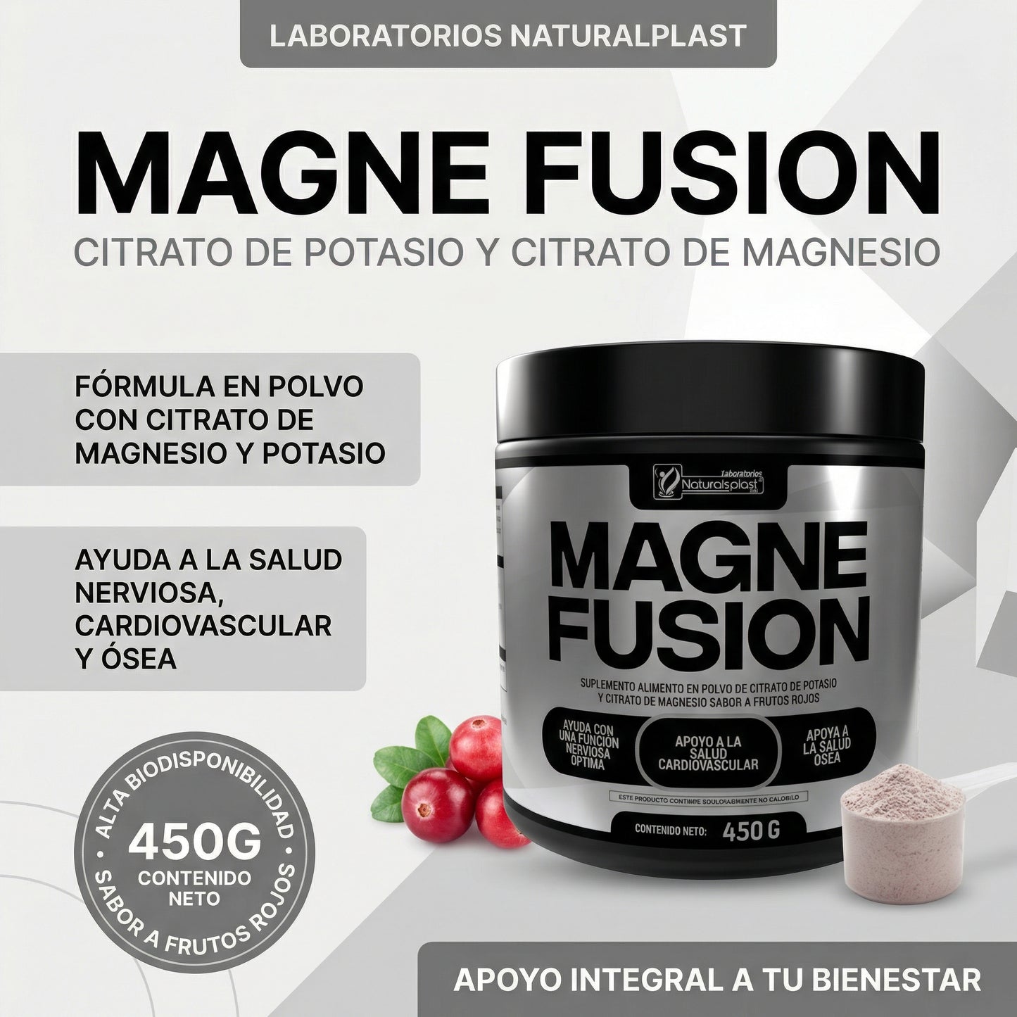 MAGNEFUSION 450GR / SISTEMA NERVIOSO