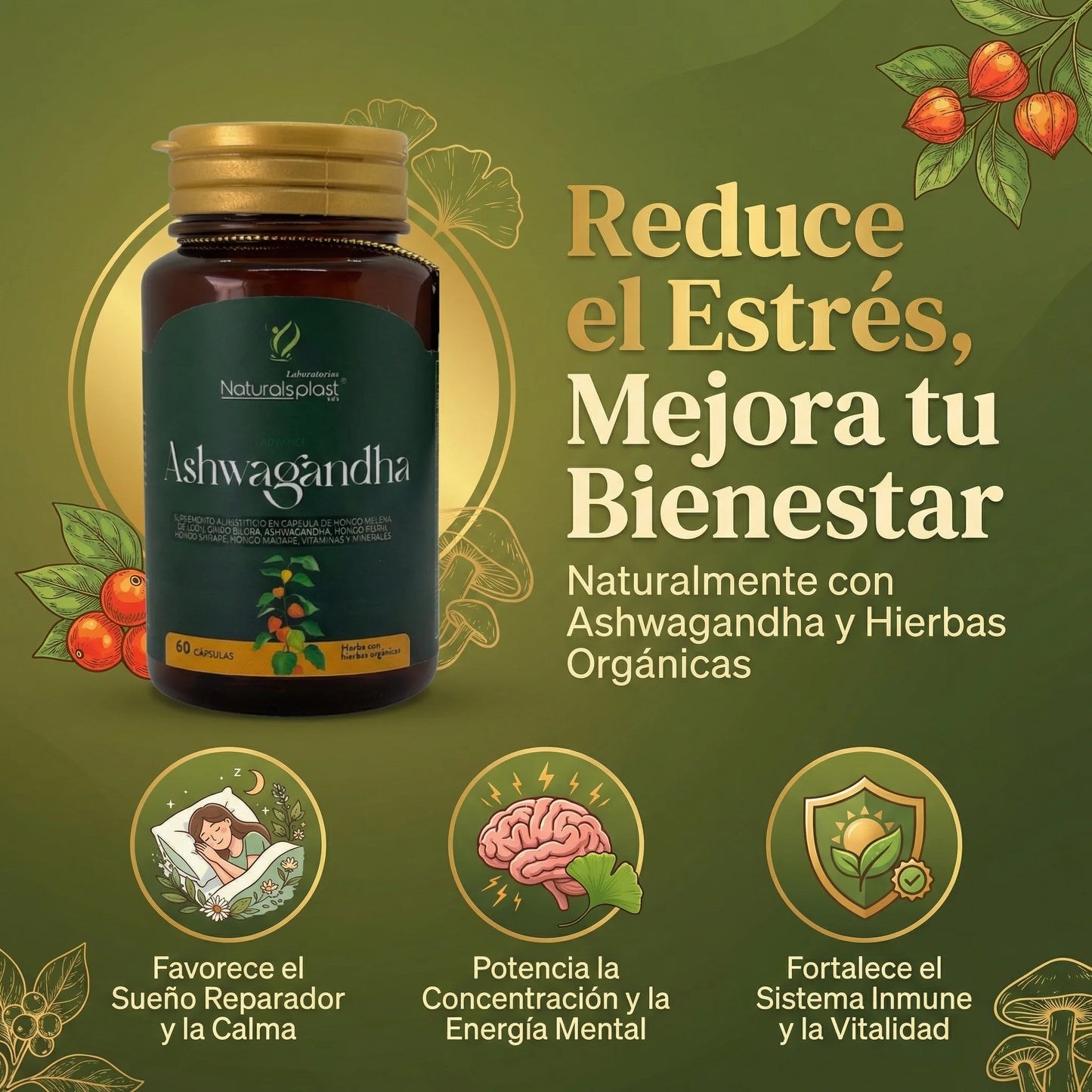 BIOCOLLAN 100CAP+ASHWAGANDHA 60CAP/SALUD